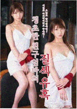 海边的信 家庭剧集封面